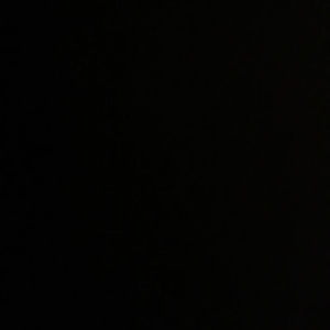 Meet your Posher, Xavier